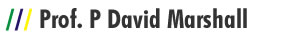 Prof. P David Marshall