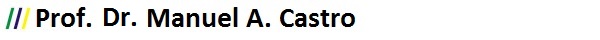 Prof. Manuel A. Castro